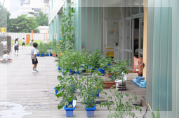 学習・生活　写真