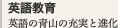 英語教育