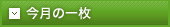 今月の一枚