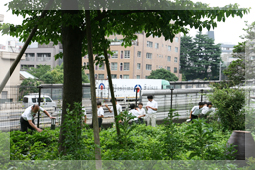 地球環境プロジェクト　写真2