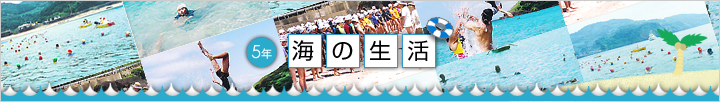 5年海の生活